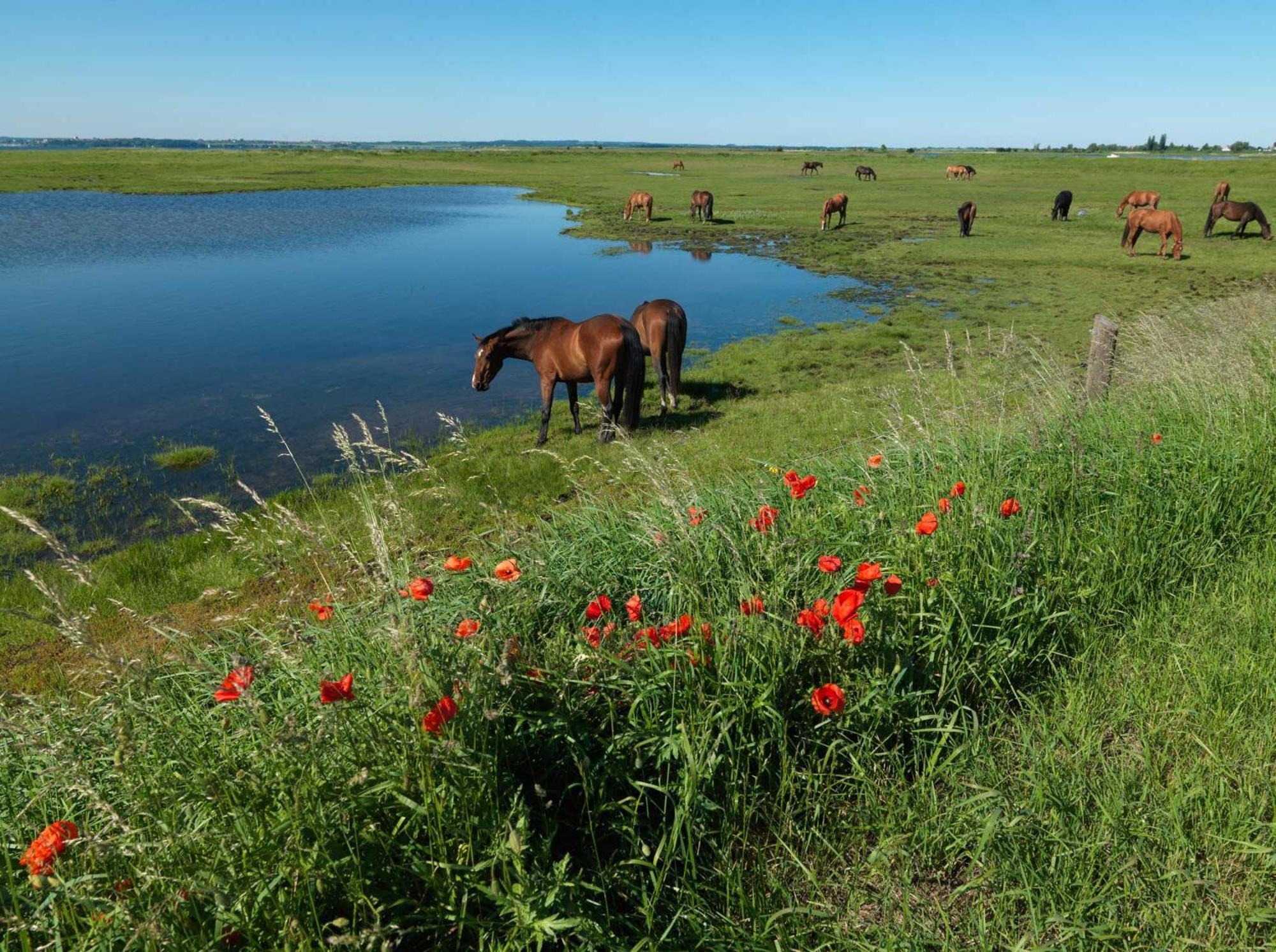 Inselhaeuser Kaltenhof Inselhaus Poel 1 ภายนอก รูปภาพ