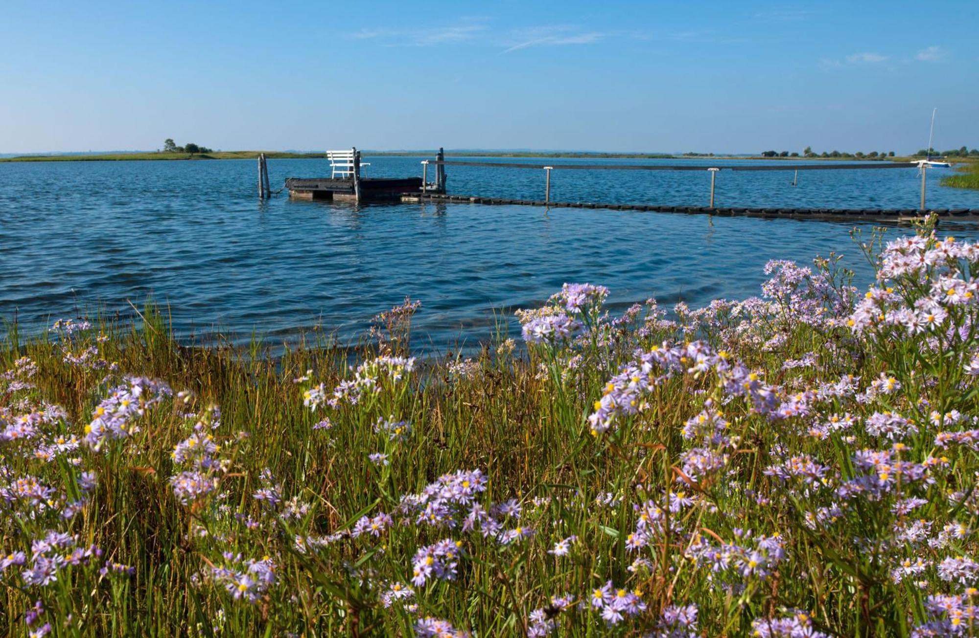 Inselhaeuser Kaltenhof Inselhaus Poel 1 ภายนอก รูปภาพ