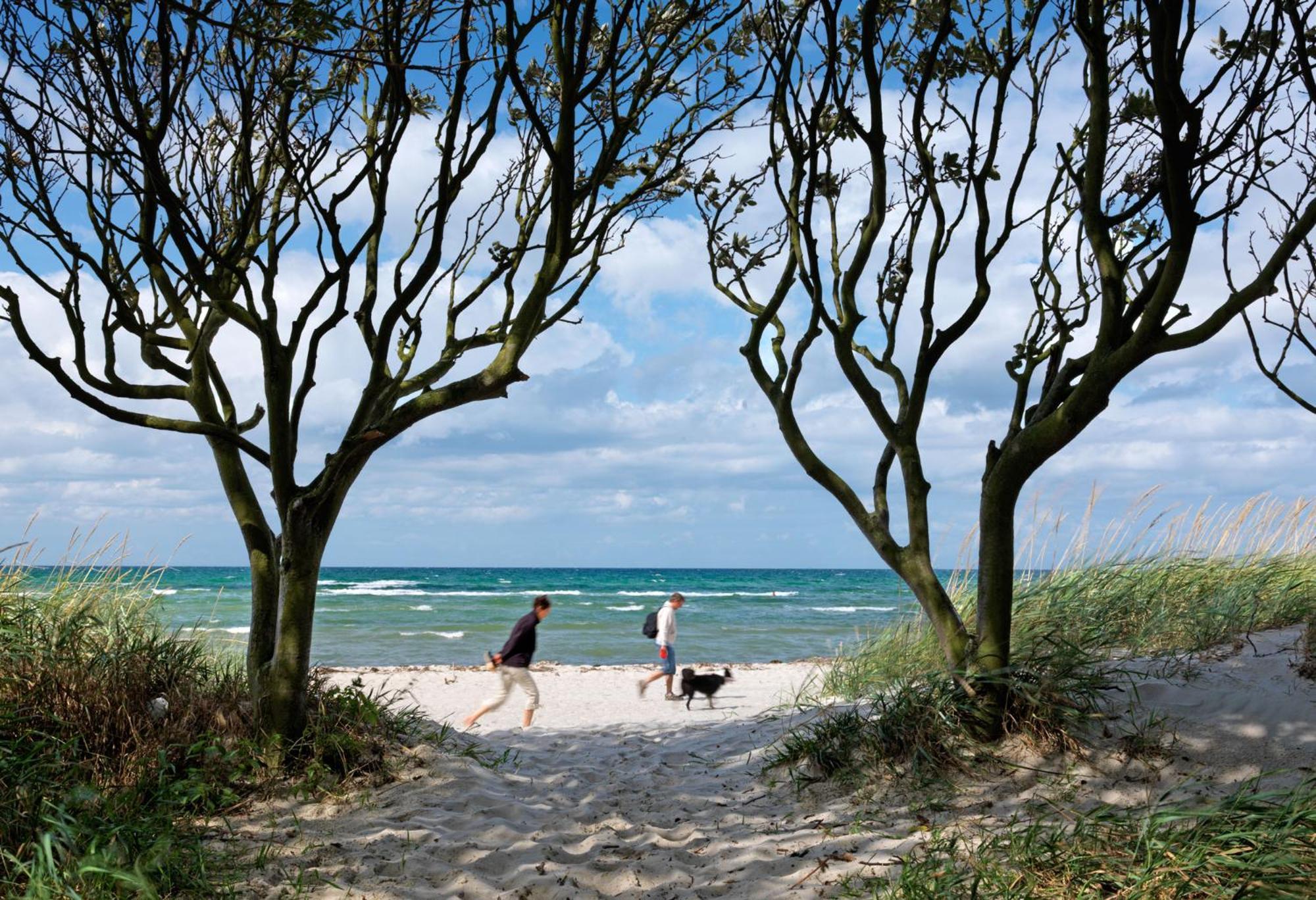 Inselhaeuser Kaltenhof Inselhaus Poel 1 ภายนอก รูปภาพ